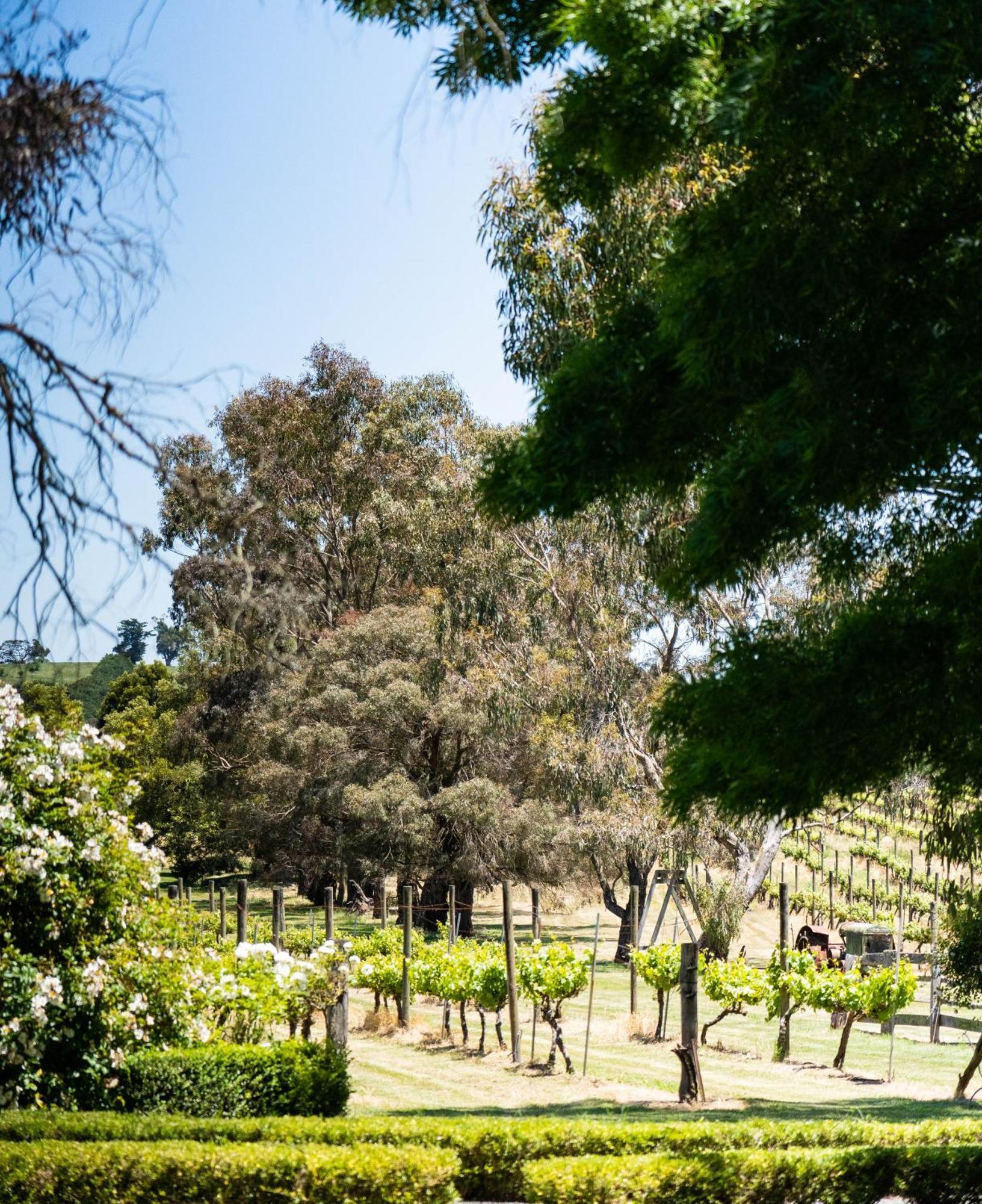 מלון Rochford Glen Erin At Lancefield מראה חיצוני תמונה